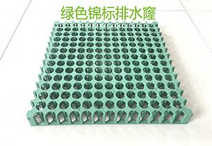 綠色錦標(biāo)排水窿