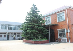 廠區(qū)實(shí)景